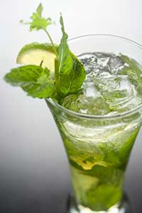 Mojito
